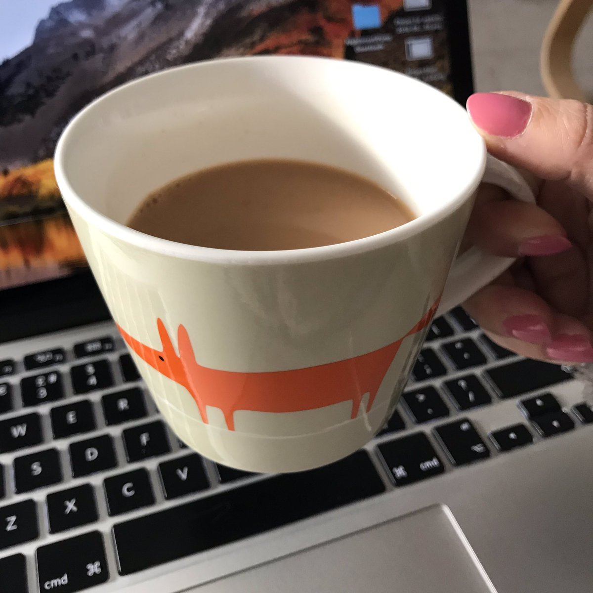 MelissaPage_'s tweet photo. Updating my operating system....tea in a fox mug is always the right assistant for the job! #computerthings #os #tea https://t.co/HviFk2yYNJ