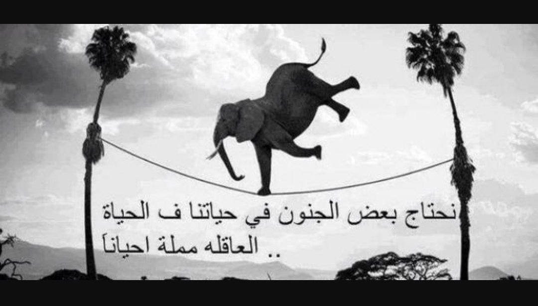 //شـــ؏ـــور💛❥ۦ📵 tweet media