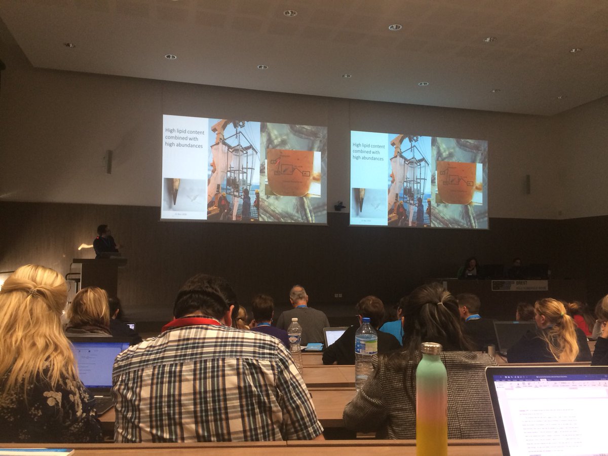 MarineLipids's tweet photo. ❄️❄️ “Lipids load triggers migration to diapause in Arctic copepods” by Frédéric Maps !! #MarineLipids2018 https://t.co/gaKyiIlI3P