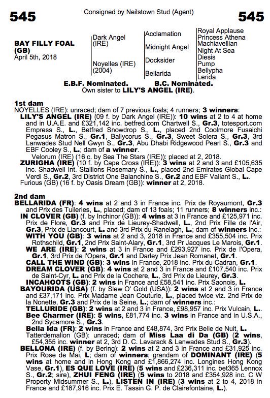 YeomanstownStud's tweet photo. Fireworks continue as Lot 545 @Goffs1866 November Foal Sale by #DarkAngel  a cracking full sister to Gr.1 placed Lily's Angel sells to John McCormack for €300,000. #ProvenGroupOneSire #GoffsFoalSale https://t.co/qmsmk5H95k