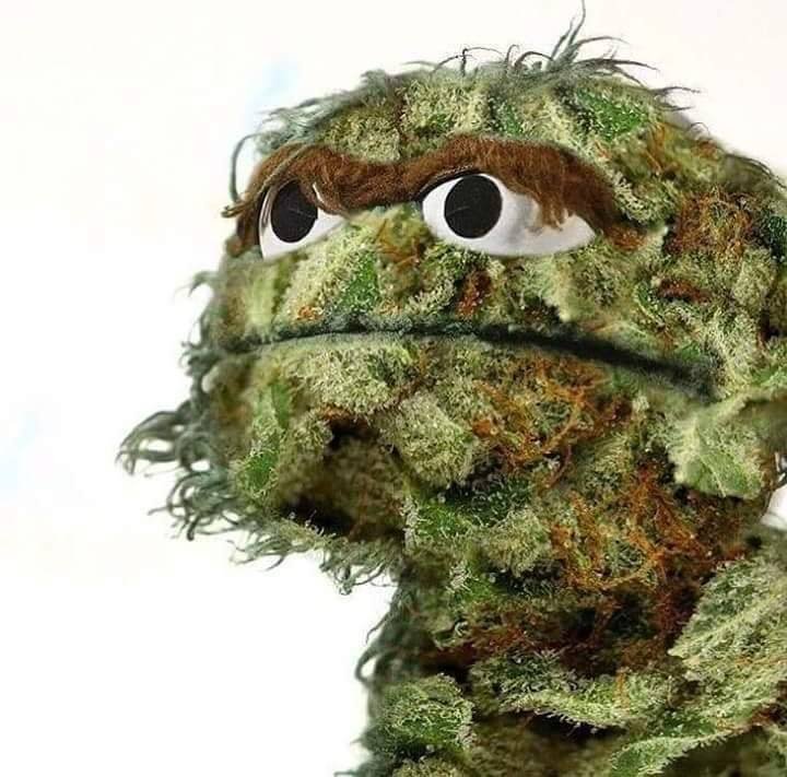 cannaworldsite's tweet photo. Have a great day all ;) https://t.co/jL1JnZTRYE