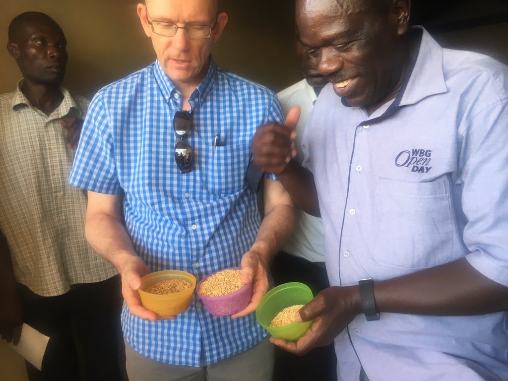 SheilaKulubya's tweet photo. Here is Namche 1, 2 &amp; 5 rice varieties developed by @narouganda under the #ATAAS project funded by @WorldBank. 

#UgandaEU #UgandaAg #FoodSecurity #Nutrition #UgandaAgGap https://t.co/oDJue0fvDZ