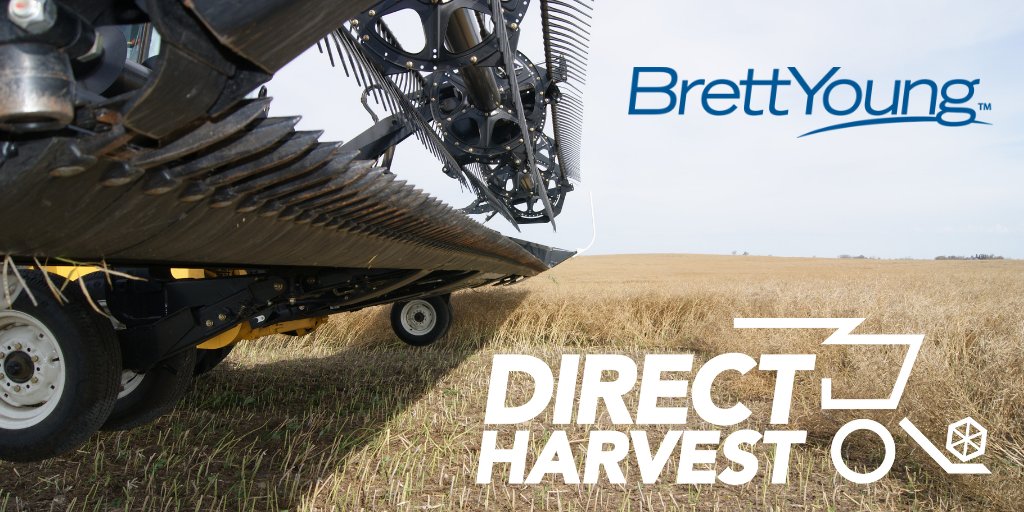 BrettYoungSeeds's tweet photo. Looking for straight cut canola varieties? Add @BrettYoungSeeds #6090RR and #5545CL canola to your rotation https://t.co/ypQr1OktJm. #WestCdnAg https://t.co/KCNZFjKFbU