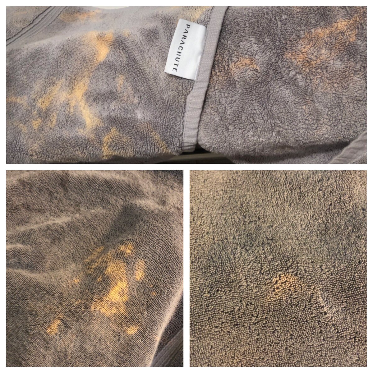 Jenni Kluzek tweet media