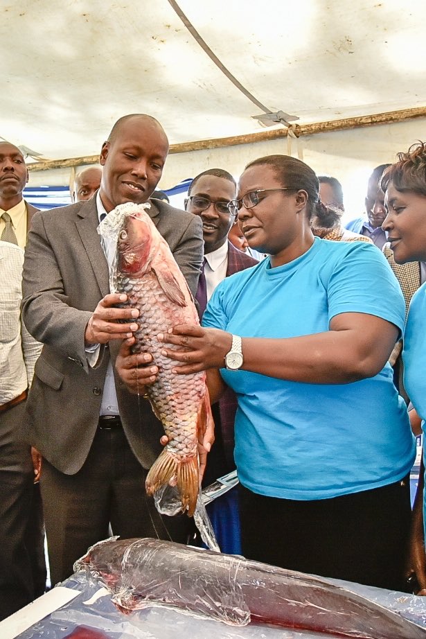 Immaculate Njuthe Maina tweet media