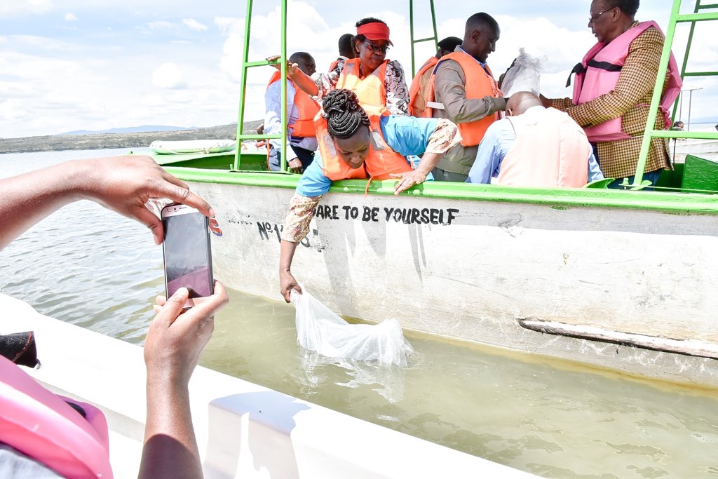Immaculate Njuthe Maina tweet media