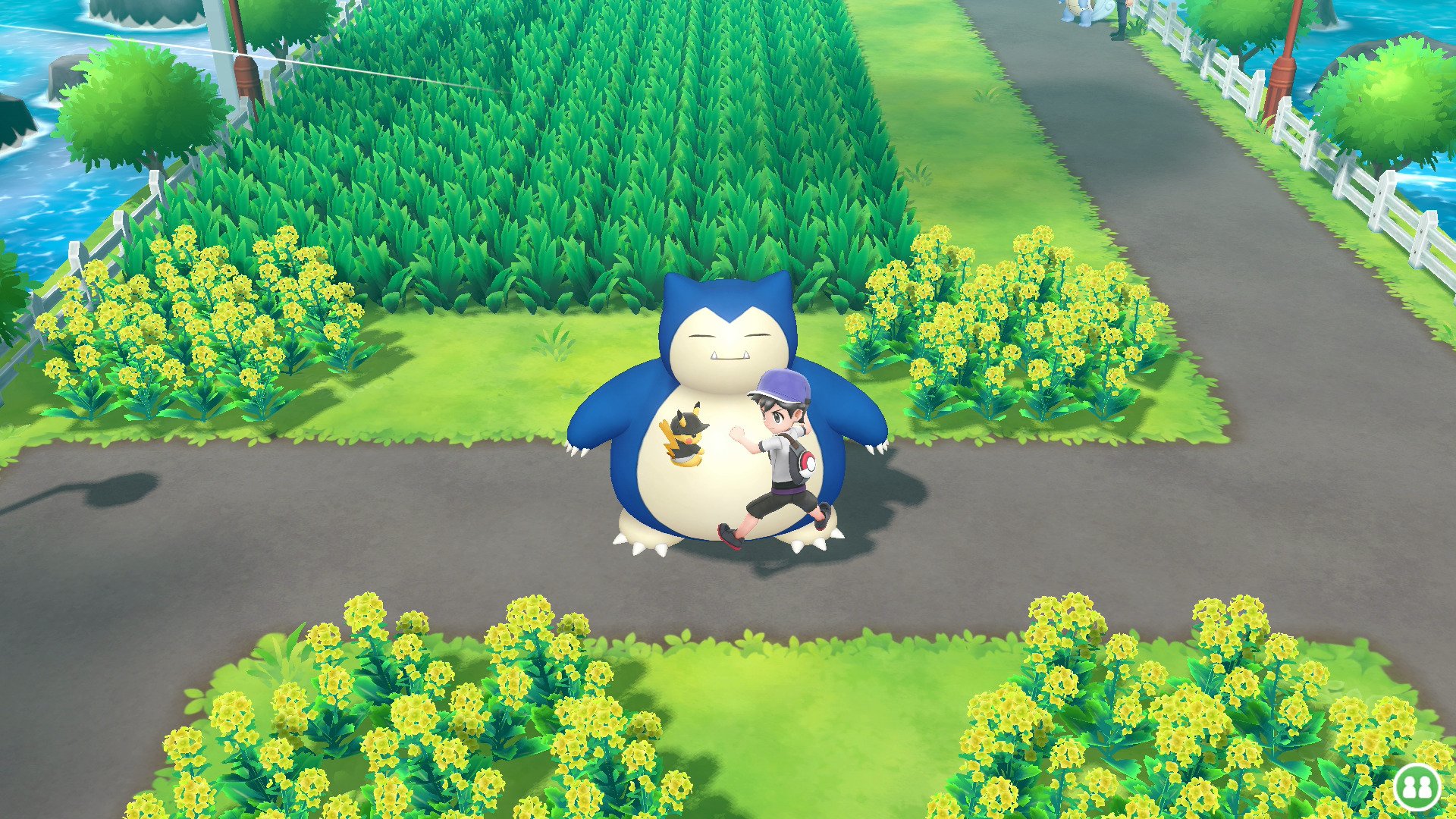Serebiinet On Twitter Serebii Update Our Pokémon Lets