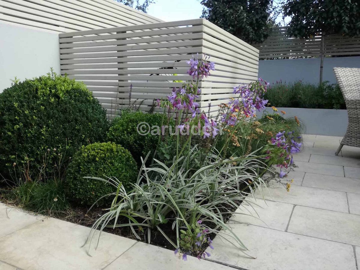 AlanRudden's tweet photo. Some shots of a small courtyard garden that was created earlier this year in Rathgar complete with #FireWall #BuiltInBBQ #RaisedPlanters #MaturePlanting #Lighting
https://t.co/DrAZqYzoBQ https://t.co/Jfs8hY30YX