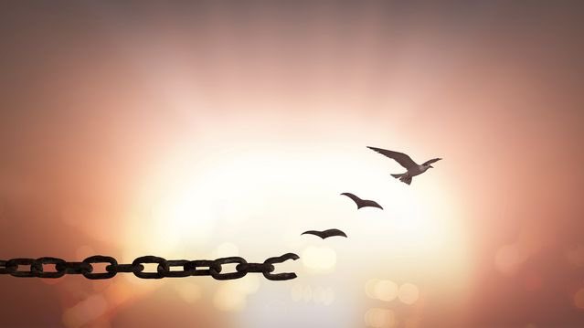 breakthechain73's tweet photo. Tomorrow is #Thanksgiving! Take a break from social media. Spend the day in #gratitude for not just our blessings, but also for all of our mercies; all those times we did not get what we really deserved. Thank God and others for their gift of #Mercy. #BreakingTheChainConsulting https://t.co/9Q66ybPz4e