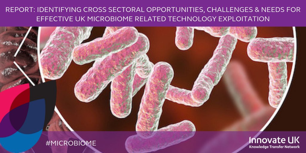 Consumer awareness &amp; understanding is key for the successful commercialisation of #microbiome products &amp; solutions rates - find out more in @KTNUK microbiome report ow.ly/LIUJ30m5W55 #guthealth #skinhealth #probiotics #prebiotics <a href="/MicrobioSoc/">Microbiology Society</a>