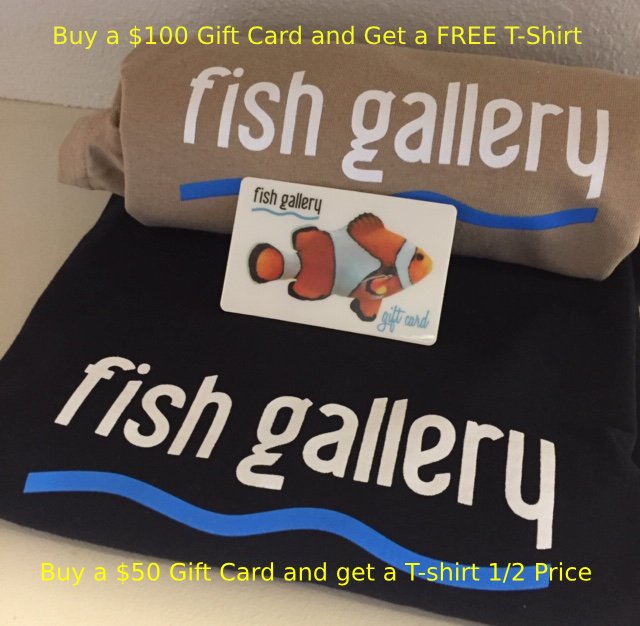 FGFlow's tweet image. Stocking Stuffers!!!!