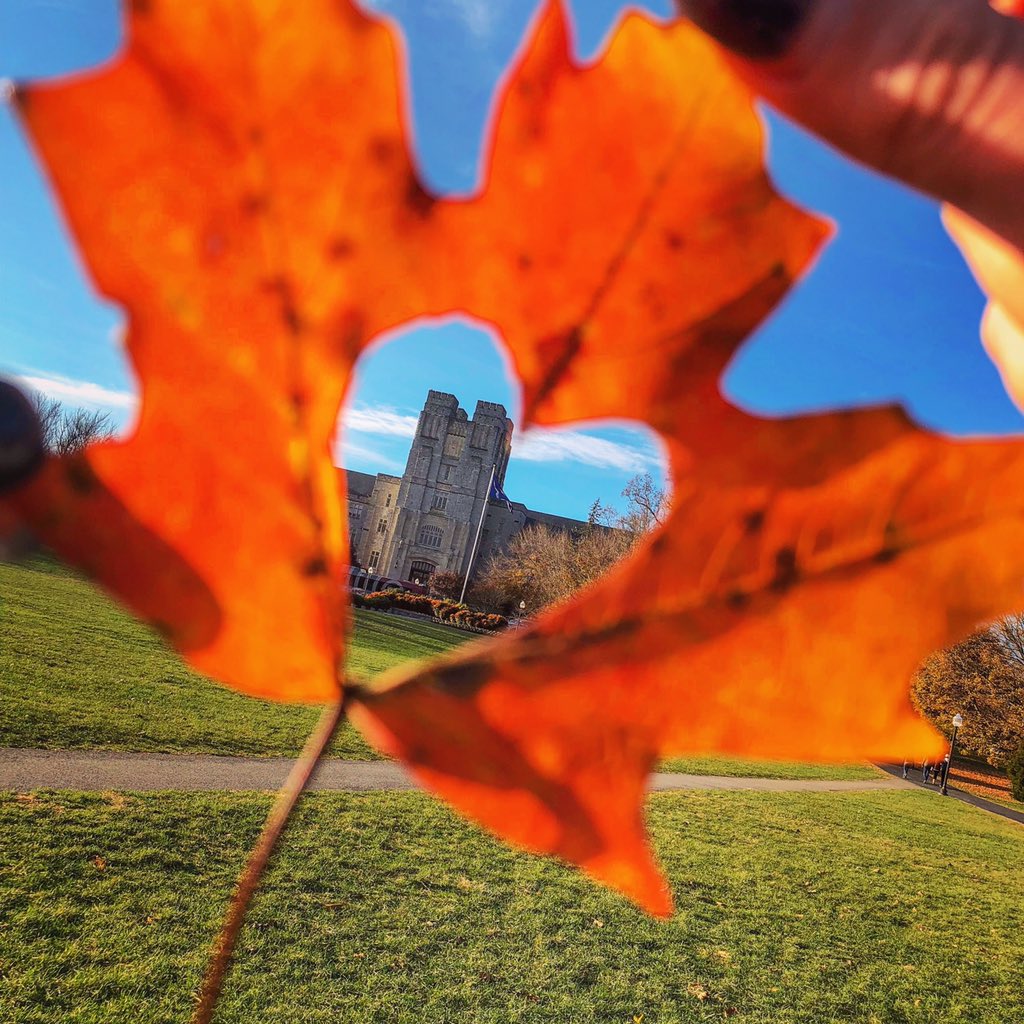 virginia_tech's tweet photo. We’re so thankful that Hokie Nation is filled with the best people, so pretend that your face is inside this leaf heart. We 🧡 you, #Hokies! 🦃
Happy #ThanksgivingEve! https://t.co/sZCcNJJW9B