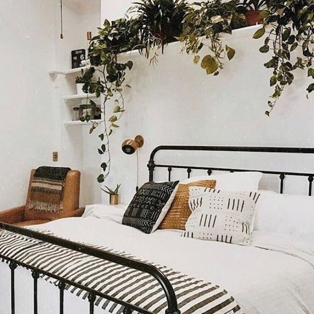 Shopcade's tweet photo. Bringing greenery into your home is a great winter mood booster. Here’s how to do it stylishly... #shopcade #shopcadehome https://t.co/6BeGdp8uS9 https://t.co/w4ZDy4OHFP