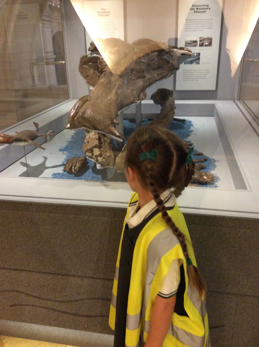 HazelClass_RE's tweet image. Last week we had a brilliant time at @bristolmuseum where we were involved in their Dino Takeover. Heres what we got up to... 🦕🦖