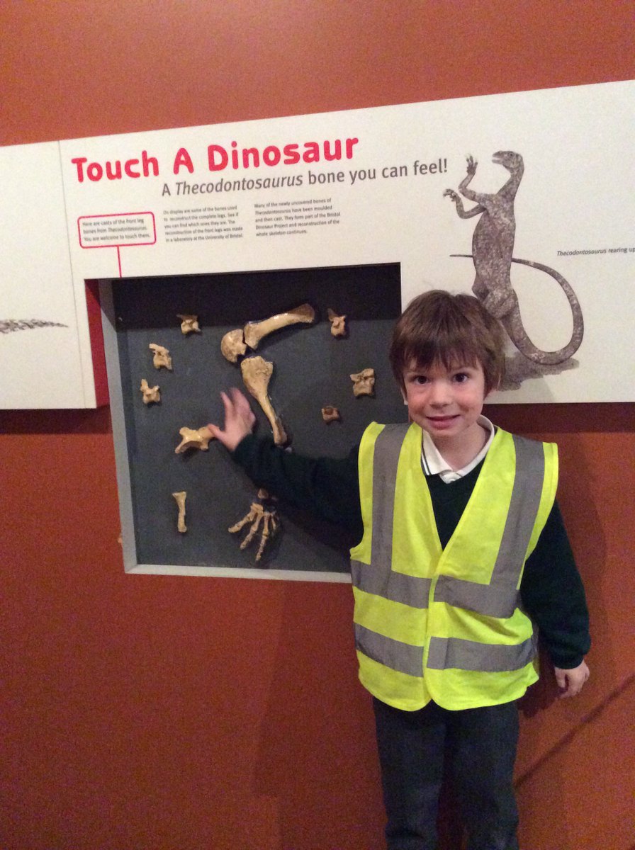 HazelClass_RE's tweet image. Last week we had a brilliant time at @bristolmuseum where we were involved in their Dino Takeover. Heres what we got up to... 🦕🦖