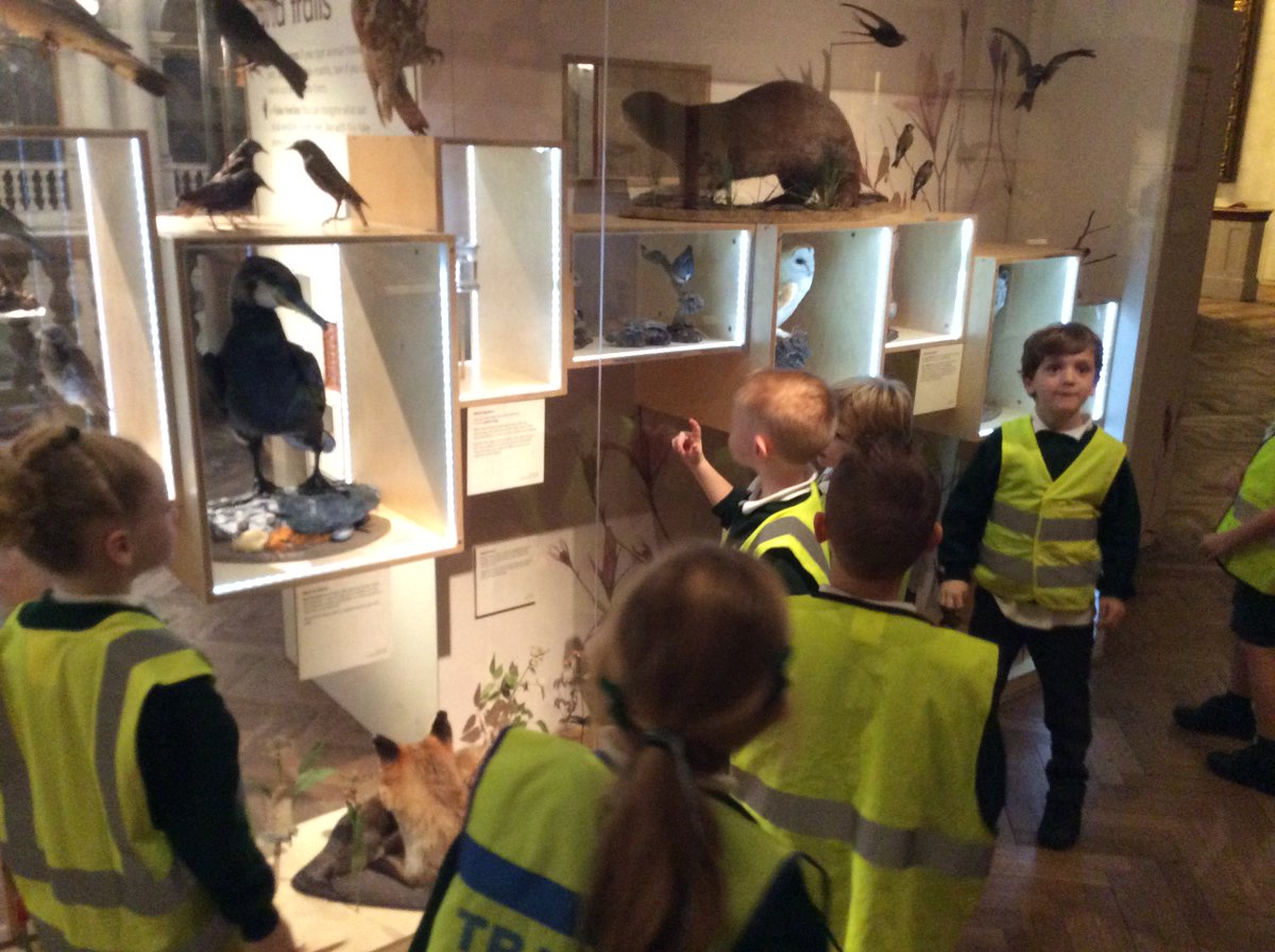 HazelClass_RE's tweet image. First we explored the Museum @bristolmuseum
