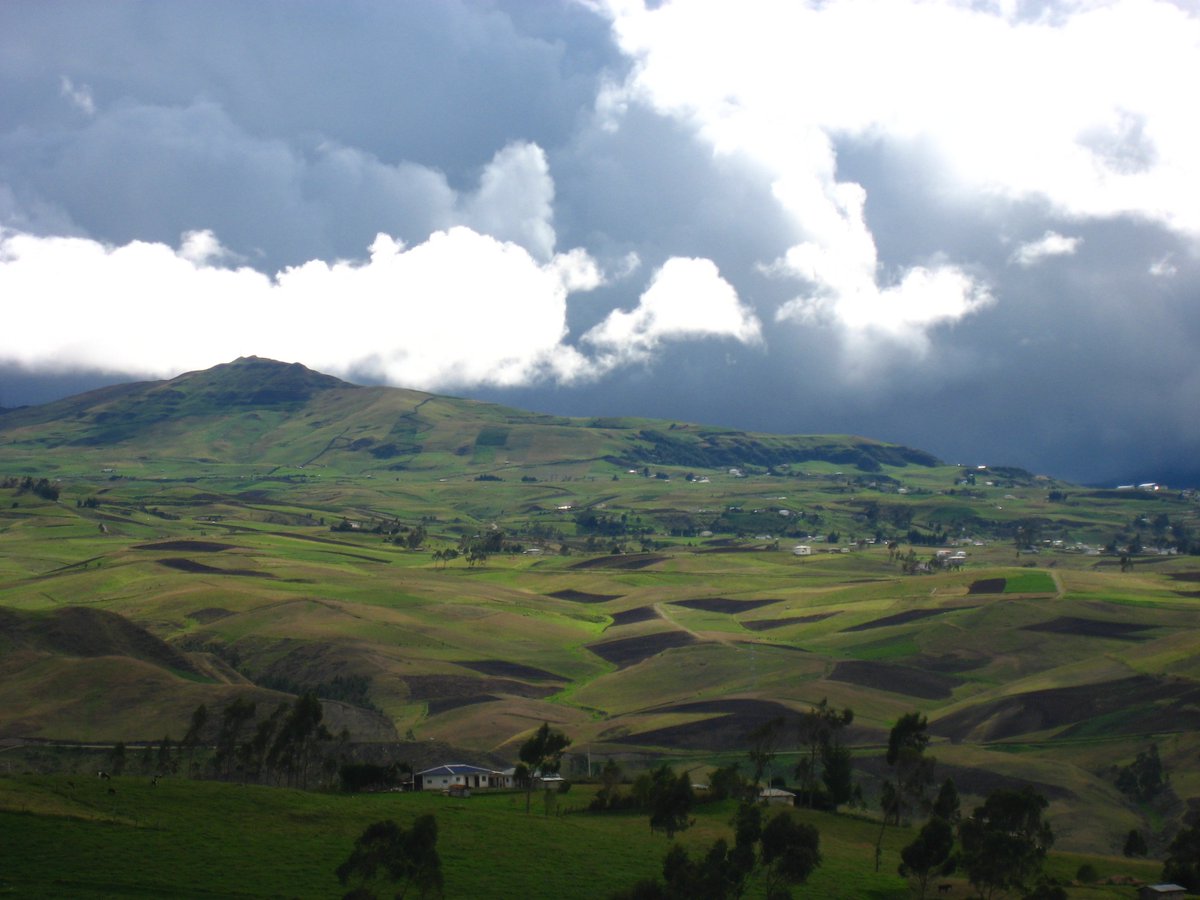 Llama Travel tweet media