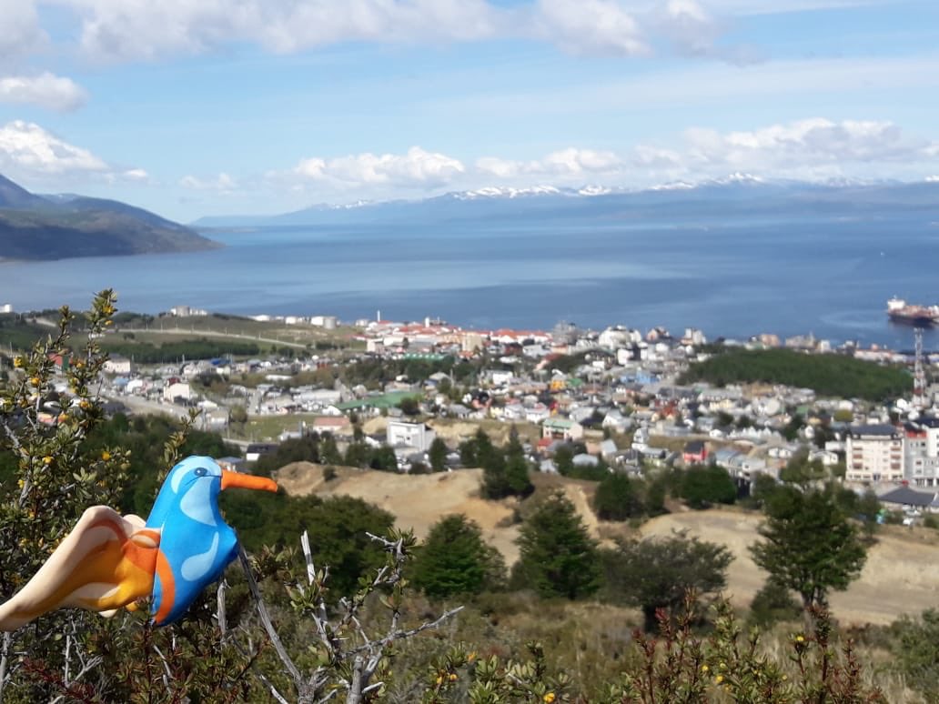¿Conocés a nuestra mascota #Fueguito? Si ya tenés tu títere, subí tu foto y contanos #dondeestaFueguito 🐦 #paseodelfuego