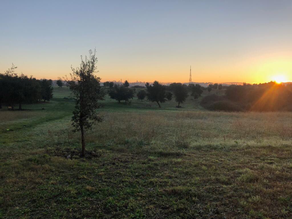 Oggi è la Giornata Nazionale degli alberi a cui la Reione Lazio aderisce secondo quanto previsto dalla Legge Regionale n.12/2016 ART.26.
 facebook.com/10000071891244…