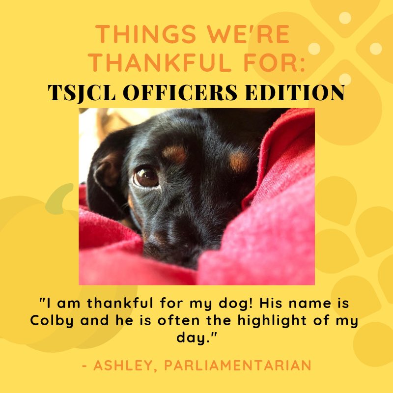 tsjcl's tweet photo. What a dog! He’s thankful - how about you? What are you thankful for this time of year? #TSJCL #TexasJCL #TSJCLThanksgiving https://t.co/ad1KUu0RkY