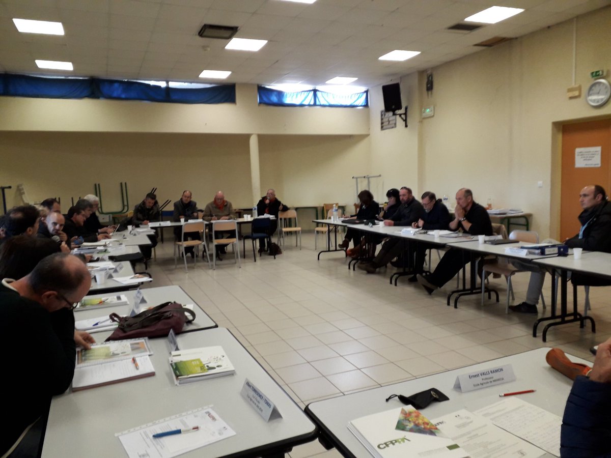 EAMasBove's tweet photo. S'ha vist la possibilitat de crear intercanvis entre alumnes, professors i pràctiques de treball. Així  com facilitar apartats formatius comuns.
Ara caldrà que es deixin els acords en un bon conveni per les dues parts. https://t.co/VqavHU1fJY
