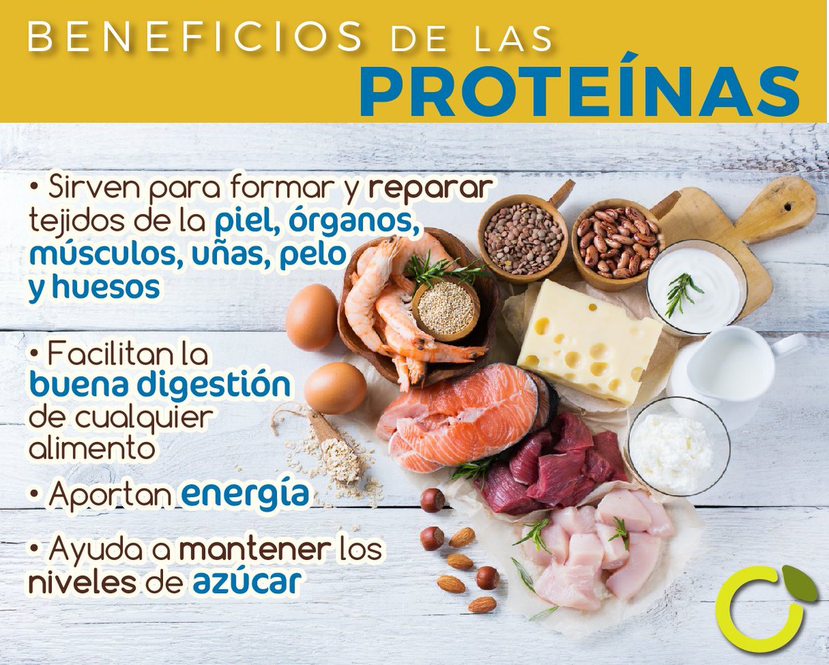 Interior apodo alias cuales son los beneficios de las proteinas transacción refrigerador Erudito