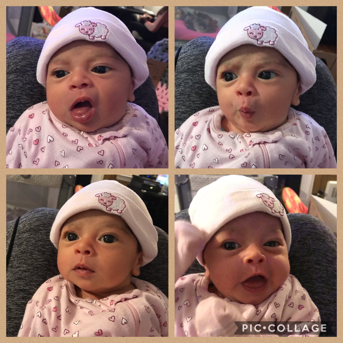 ChongosIdeas's tweet photo. So we brought in too this world a beautiful young lady by the name of Francesca Ivette Figueroa (AKA) Frenchi French Fry 🍟 #funniness #babies https://t.co/FzqxeFmZHz