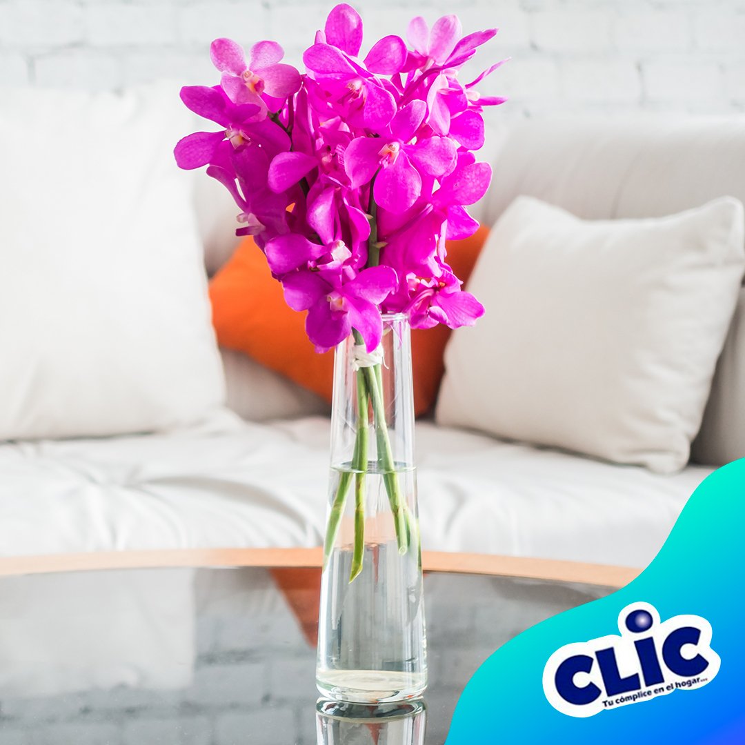 productosclic's tweet photo. Dale color a tu hogar decorando con flores. Ellas aportan luz y un delicioso olor, que renovará las energías de tu casa #momentoclic #tipsclic https://t.co/aMh91i60IX
