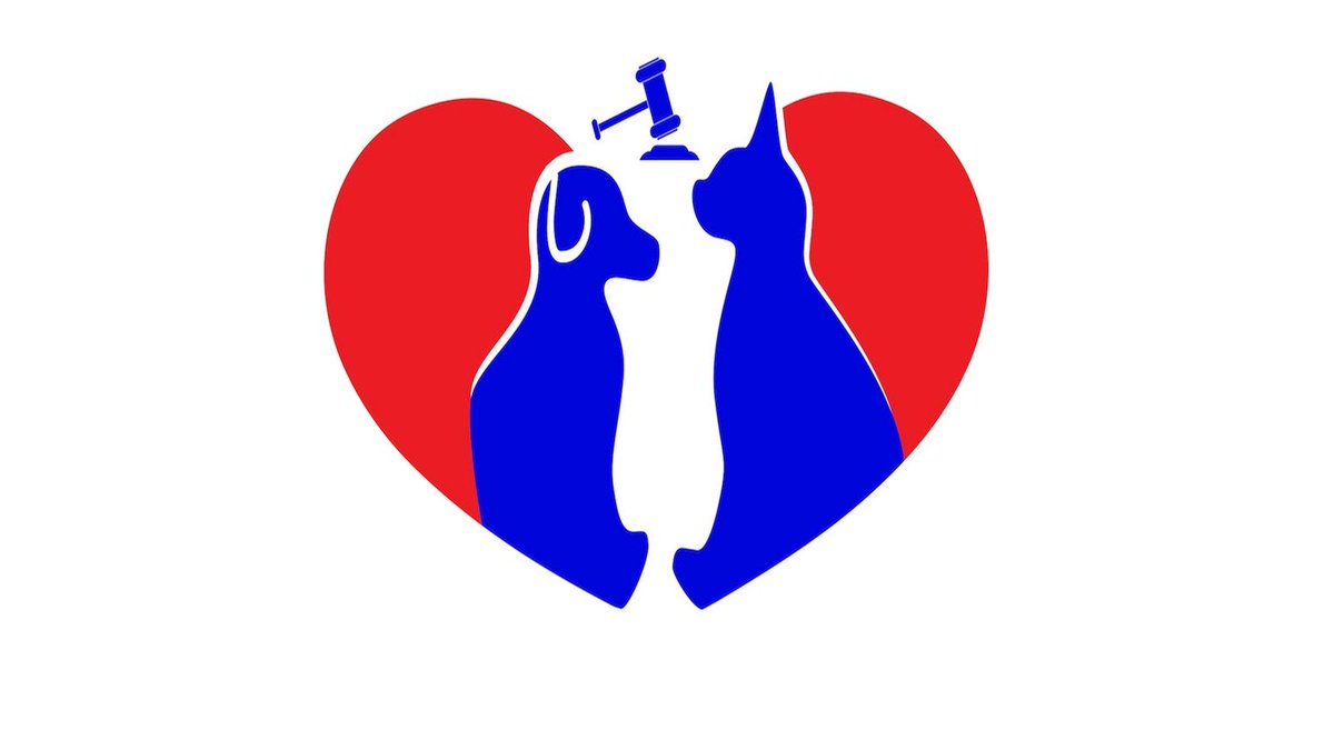 Pet Divorce Court - a web series where parting couples go to court to decide the custody of their pets. buff.ly/2FAlyBh #pet #petlovers #webseries #series #divorce #petcustody #Kickstarter