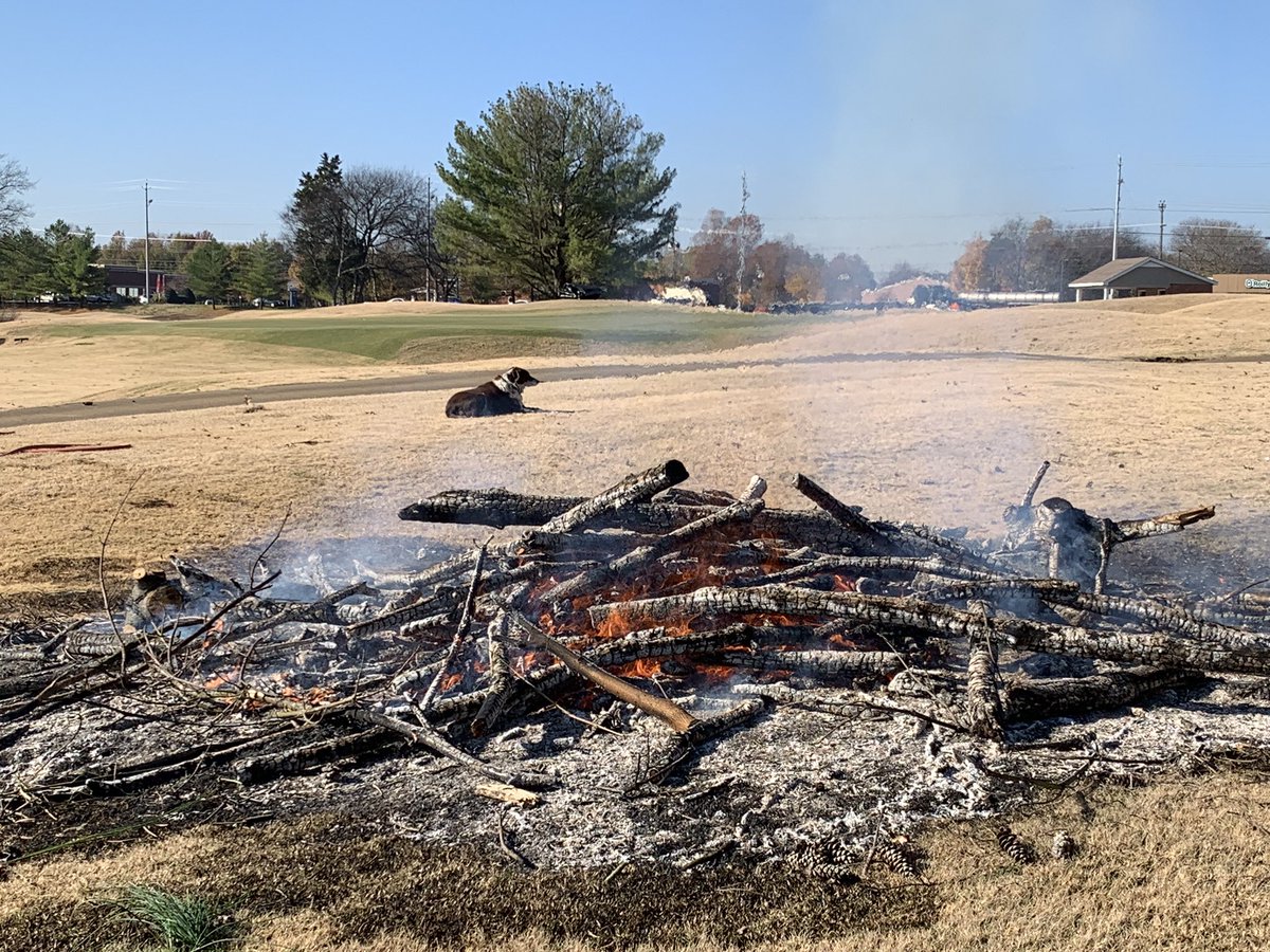 BradMarcy's tweet photo. Trying to keep warm this morning. Dead pine burns fast. #hotdog https://t.co/cKOJ437h58