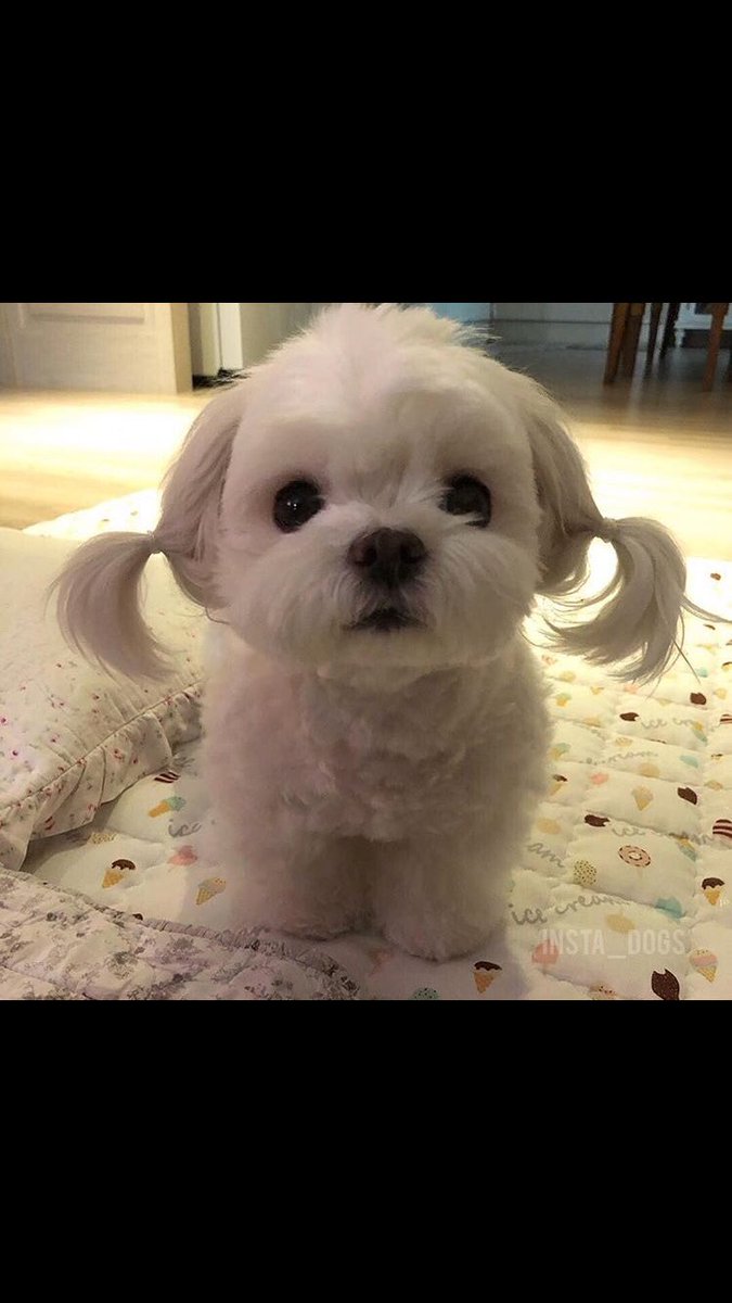 samuelyumrugu's tweet photo. Şuna bak şuna 😍 https://t.co/4lYCUh54Ak