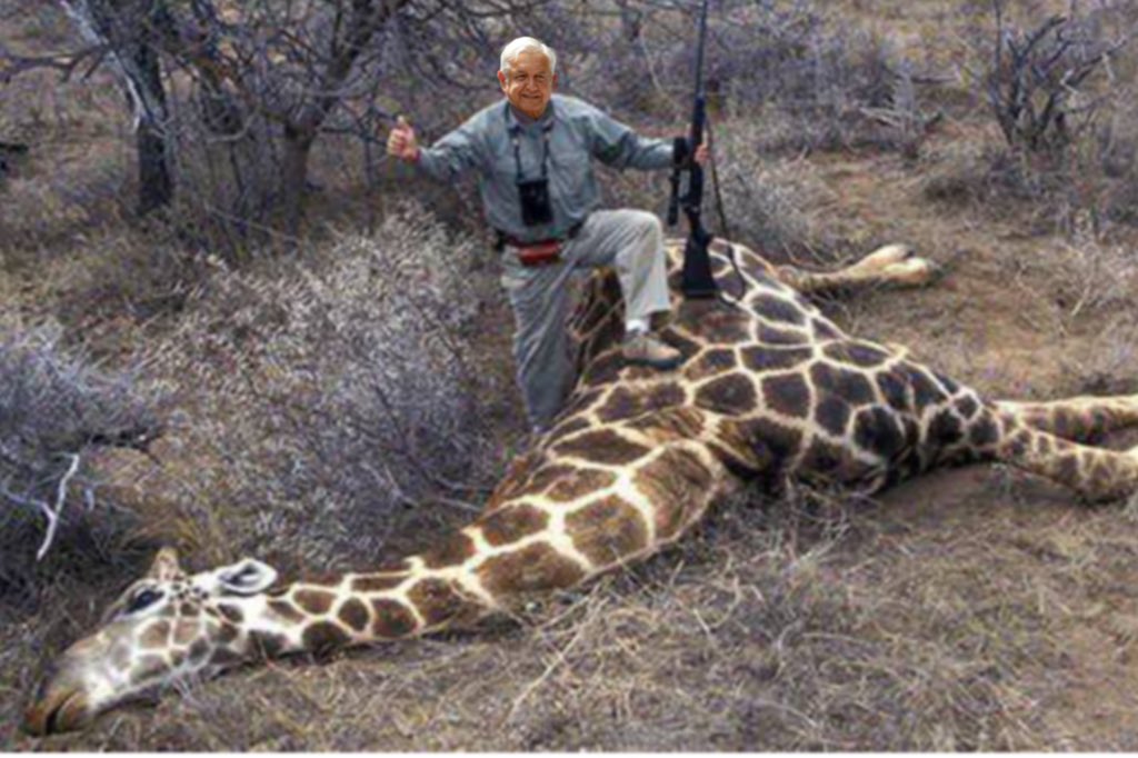 Mexico City News tweet media