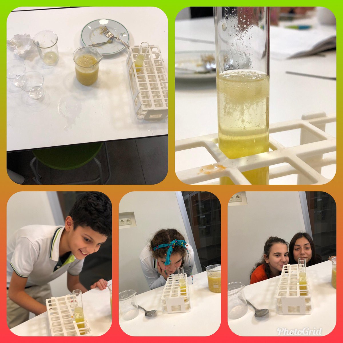 İzmir Mavişehir 3 kampüsü 7.sınıf öğrencileri bu hafta Fen Bilimleri dersinde öğrendikleri DNA 🧬 konusunu Mucit Atölyesi dersinde Muz 🍌 un DNA ‘sını 🧬 ayrıştırma deneyini yaparak gözlemlemiş oldular. <a href="/denizfunda35/">Deniz F.K</a> <a href="/KvancBarlas/">Kıvanç Barlas 🇹🇷</a> <a href="/BozkurtRezan/">Rezan Bozkurt</a> <a href="/esinboce/">Esin Böce</a>