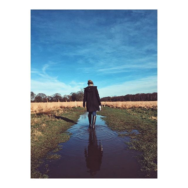 dlattimer's tweet photo. Crisp, cold winter walking 🙌🏻 https://t.co/iBDda0aJZB https://t.co/eS5KoyANHQ
