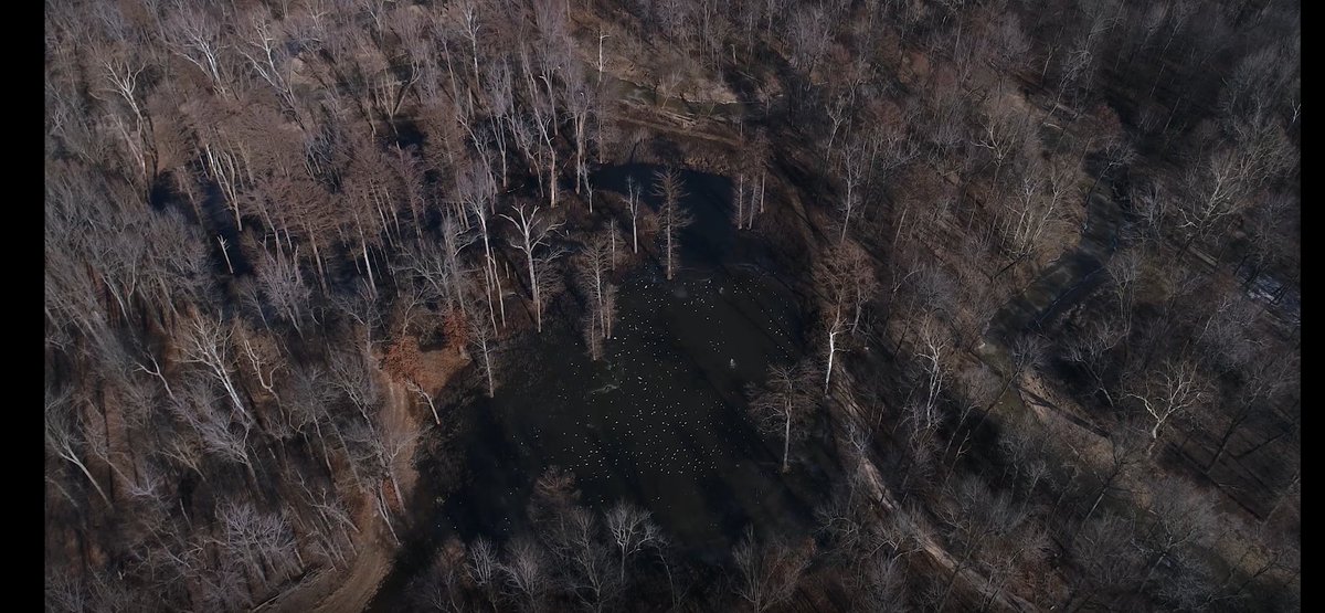 Check out what DU TV sponsor Higdon has to offer in this action packed episode. Field Hudnall heads home to Kentucky tour their facility and hunt the woods with the Higdon crew. Catch it all at ducks.org/dutv or at 8:00 PM on Pursuit.