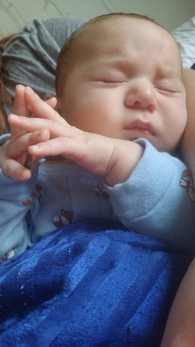 Princess_Midna tweet media