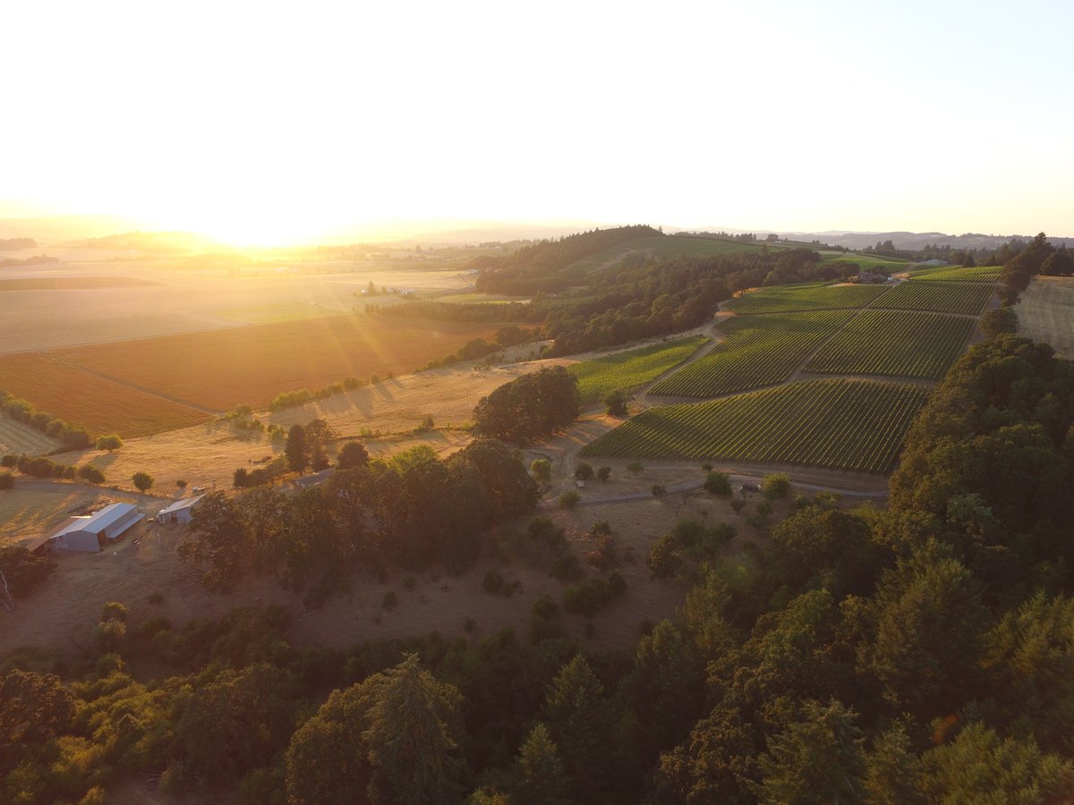 WineryHunt's tweet photo. Memberships now available for the 2019 WineryHunt Oregon Club. Discover 40 top wineries in 12 Oregon wine regions as a 2019 member! https://t.co/NVwkgUnrBX #oregonwine #oregonwinetasting #wineryhunt https://t.co/e9dEQpiUvg