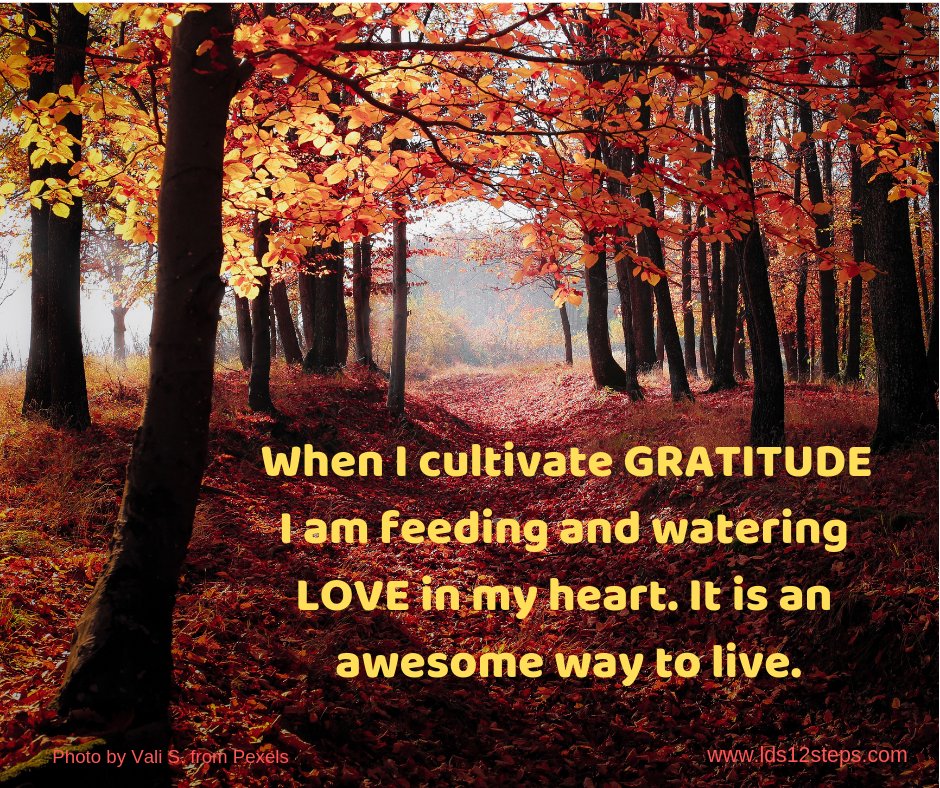 lds12steps's tweet photo. Cultivating #Gratitude is the way to crowd out the weeds in my heart.

https://t.co/D0Xsr3vFnM

#Recovery https://t.co/w09nz4dlk6