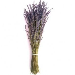 _Lavenderworld's tweet photo. Dried Lavender Bunches back in stock

Find them here and use discount code LAV15:
https://t.co/Am21083Nxr https://t.co/cRR3CFCjoO