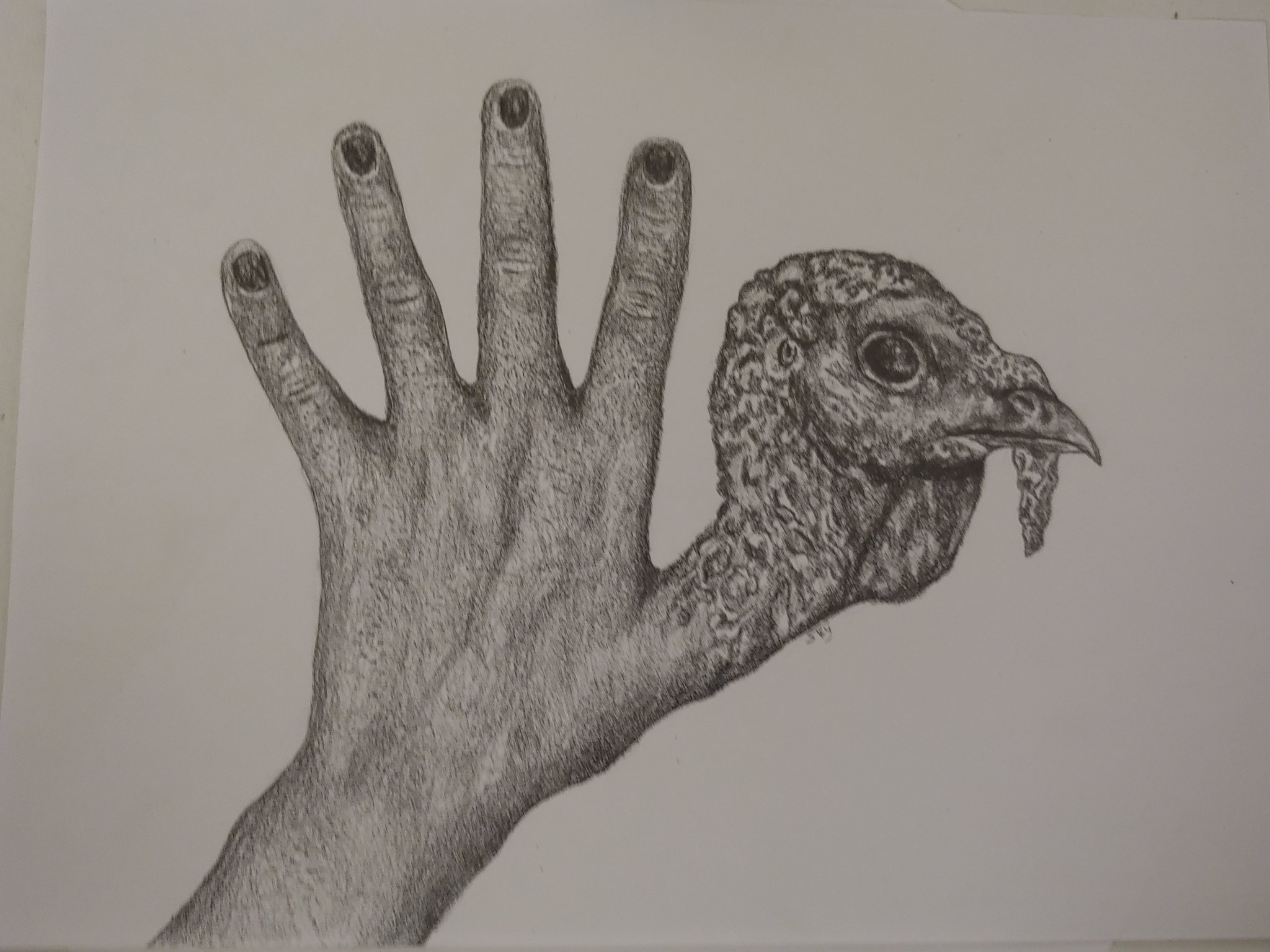 turkey hand drawing contest