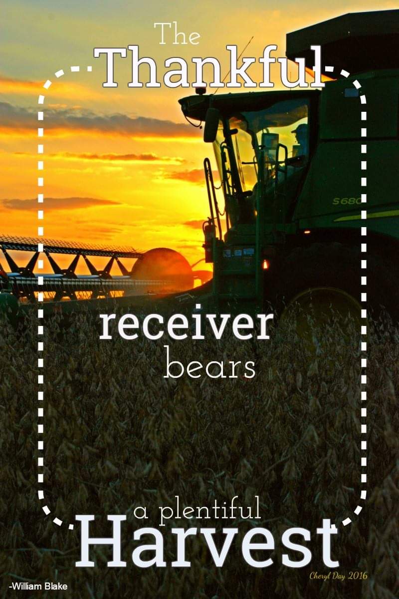 FarmInspiration tweet picture