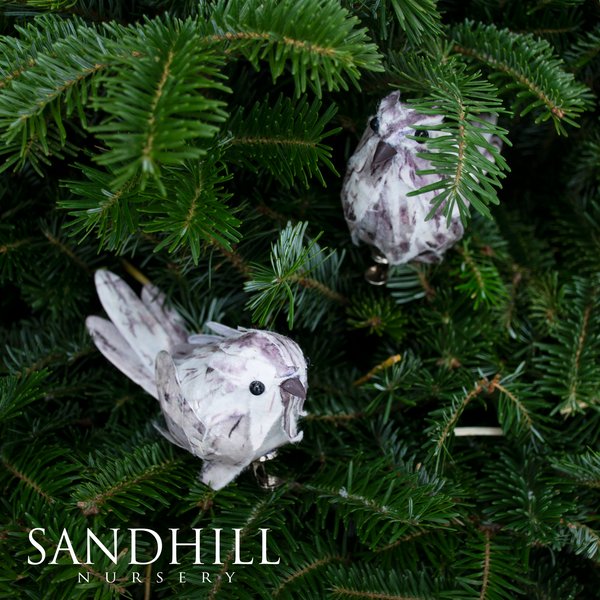 sandhillnursery's tweet image. These little sweeties will add cheer to any tree! You can be sure they won’t "fly away." They each have a small clip for easy fastening. We think they look great tucked into Christmas urns, greens and branches.
#paperdecor #paperbirds #tweettweet #snowbirds
Paper Birds - $3.99 ea