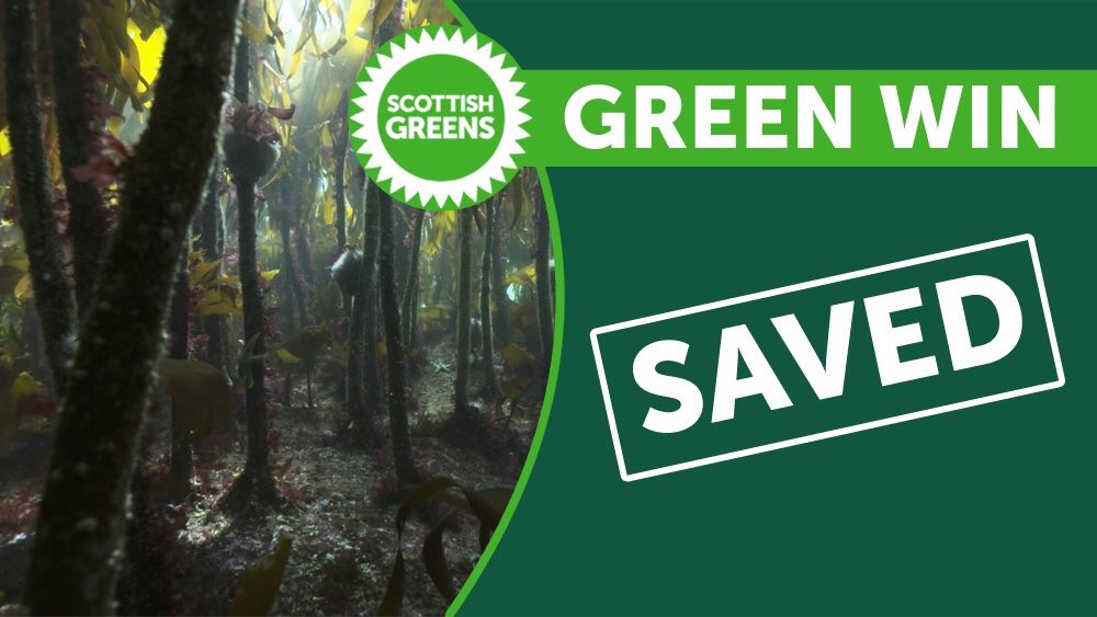 markruskell's tweet photo. 🎉 We’ve done it! 

Parliament has just backed my amendment to save Scotland’s kelp forests. Thank you to everyone who has campaigned to make this happen! https://t.co/MH7KttvaXw