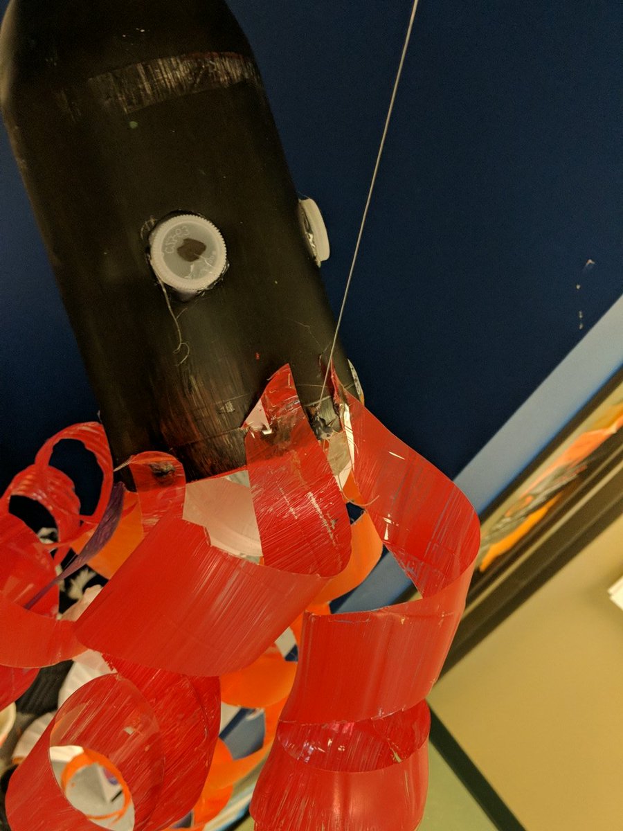 MrMaxMonegan's tweet photo. 'Tis a Squid #ourbmsa https://t.co/NcoAqUmcEX