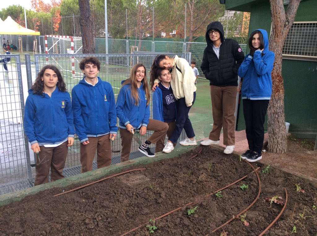 ScienceBrains's tweet photo. ¡¡¡Marchando una de huertoooooooo!!!  Tenemos lechuguinas frescas, guisantes, acelgas.... y una GRAN mano de obra!! #sistemasambientales #huerto #biologicalsciences @Colegio_Brains @iborganization @bego_utrera @JuanIgnacioArc8 @CrisScience https://t.co/QcVL3OC3uQ