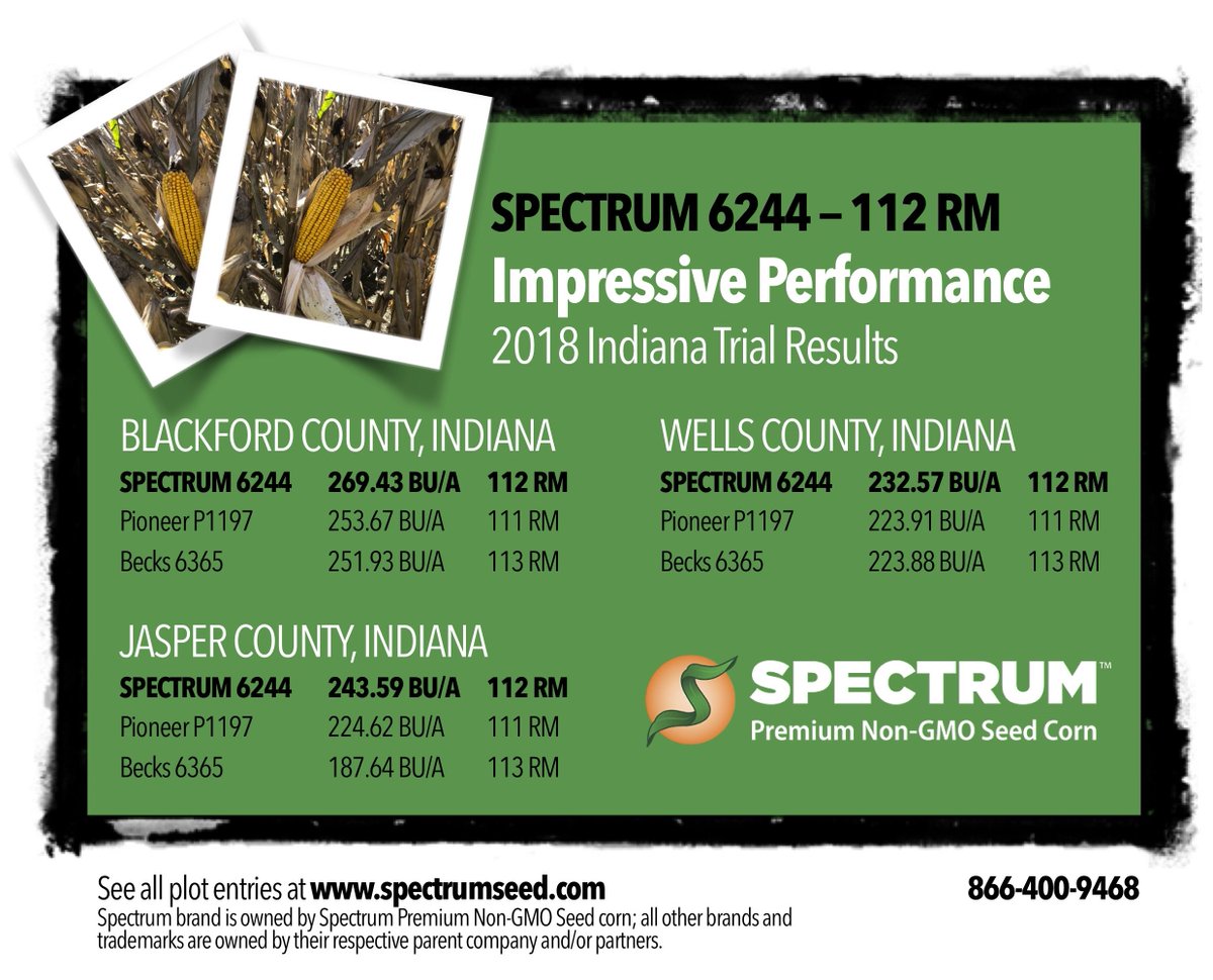 SpectrumSeed's tweet photo. We have lots to be thankful for this holiday season, including Spectrum 6244, a hybrid that just insists on showing the competition the door. #NonGMOSpecialists #GrowSpectrum https://t.co/XnywY5Ht1v