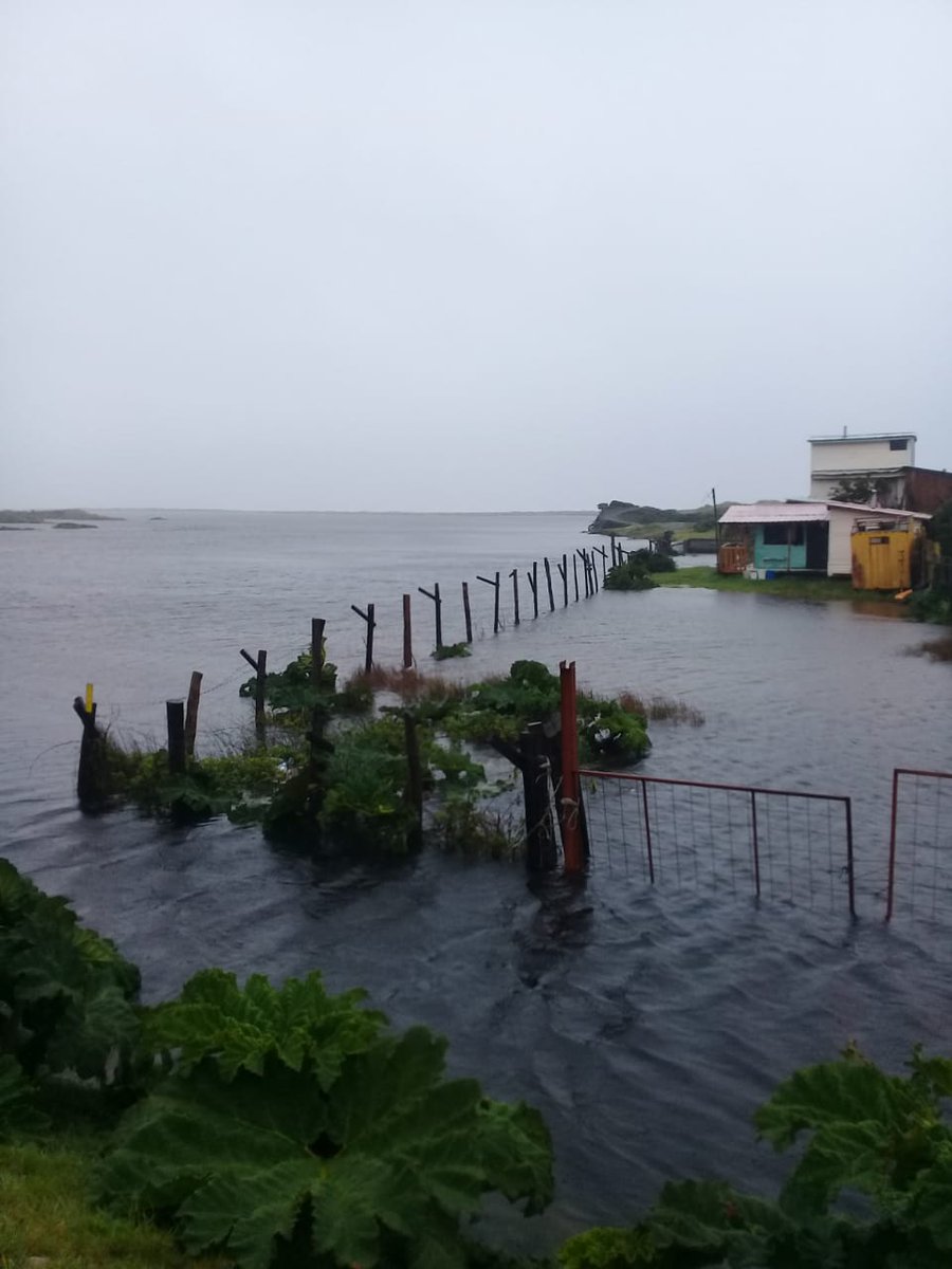 cucaovera's tweet photo. Desborde tío rahue y río chanquin @biobio @ChiloteM @LAUTAROCUCAO @tteinforma_X @radionahuel @estrellachiloe @BorquezRafael #cucao #muelledelasalmas #chanquin https://t.co/RvqLwJJl48