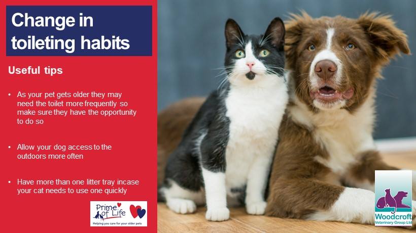 Useful advice from a veterinary practice.
#Dogs #DogTraining