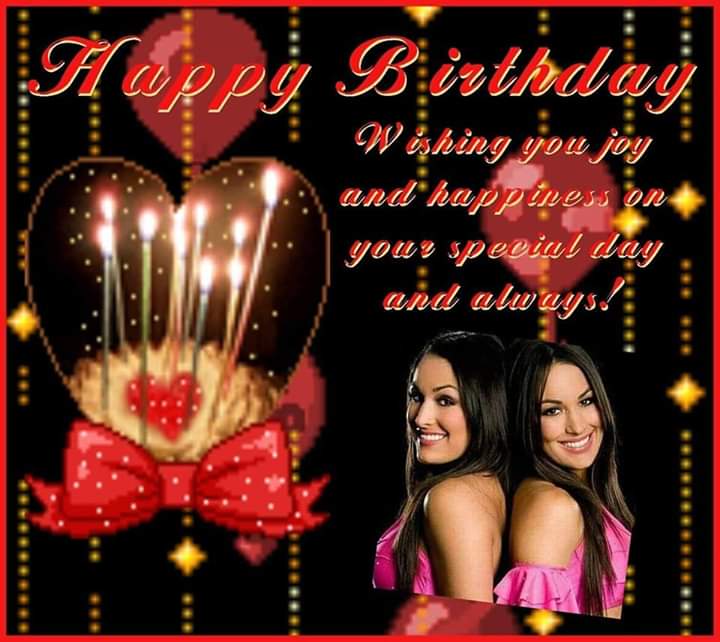 Happy Birthday Nikki and Brie Bella 