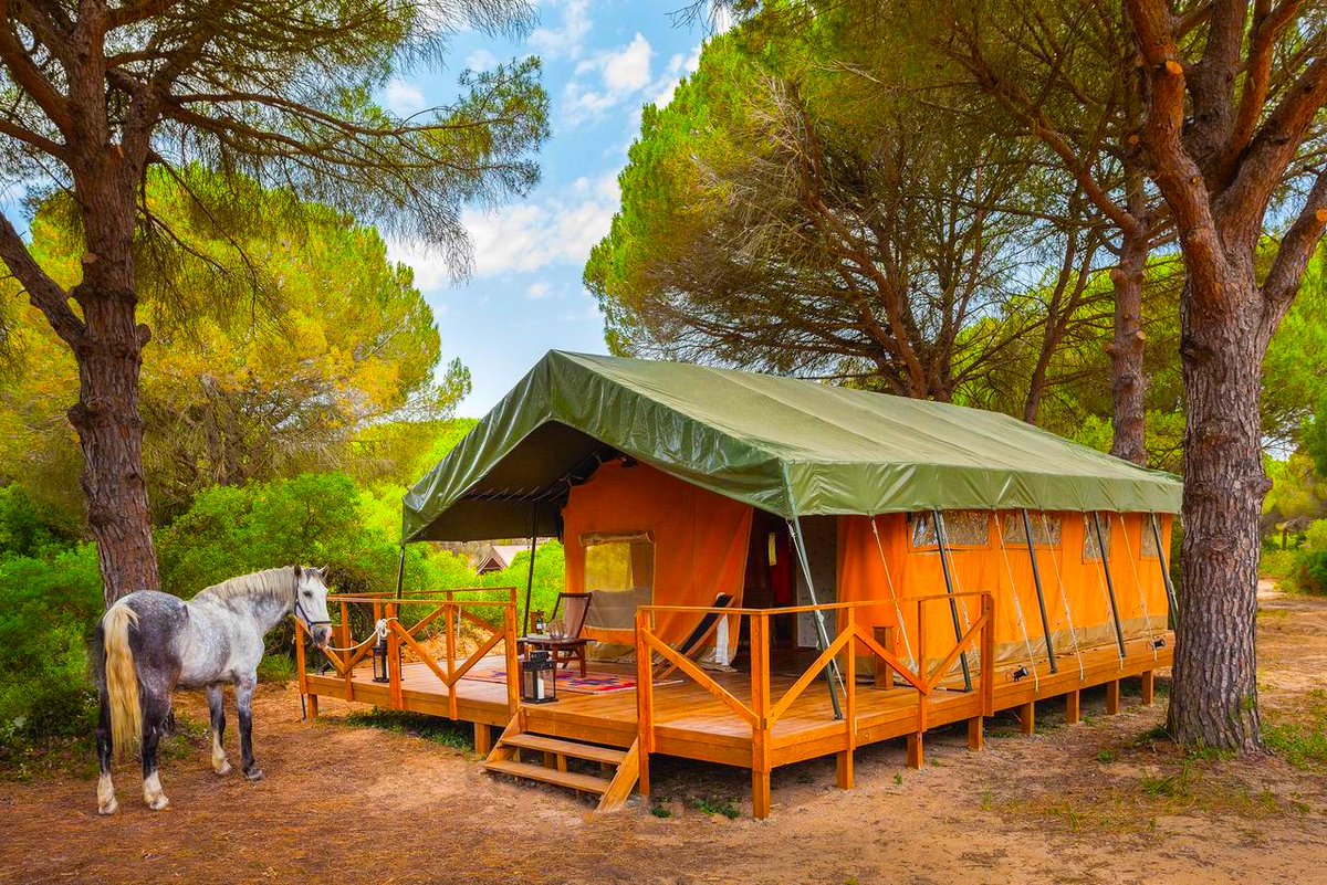 MDifferentPlace's tweet photo. No hace falta que te vayas a África para irte de Safari. #MyDifferentPlace #Glamping #Tents https://t.co/46zw0i3j7R